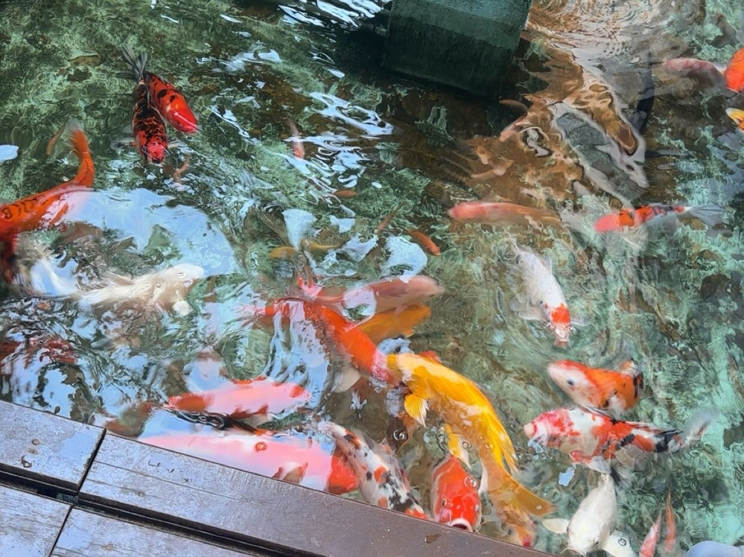 埃克霍冲浪酒店主图