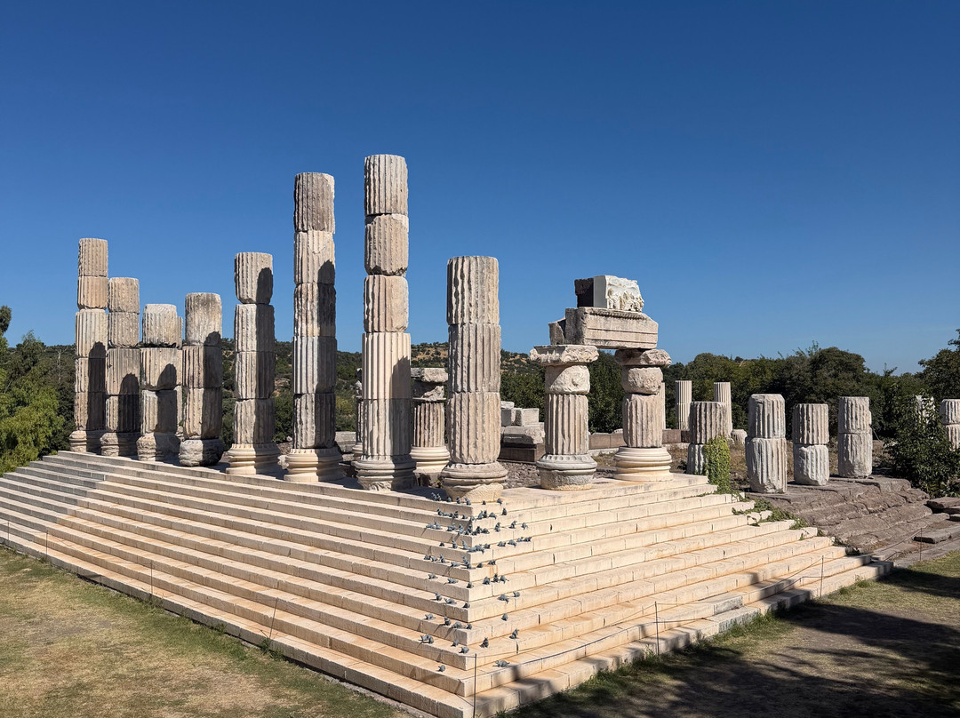 Apollon Symintheion Ruins-Ayvacik必去景点