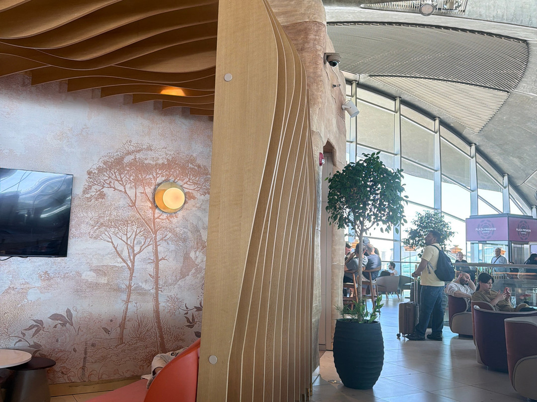 Plaza Premium Lounge (departures)-安曼必去景点
