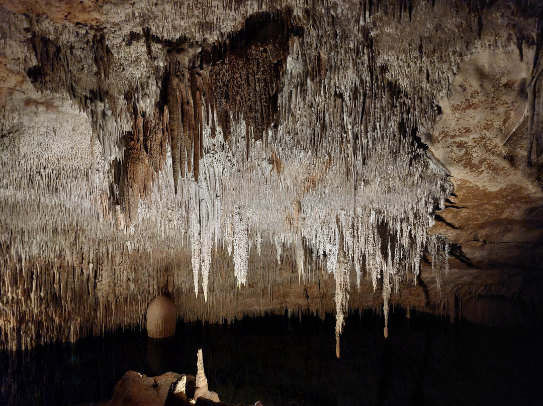 Cuevas del Drach-克里斯托港必去景点