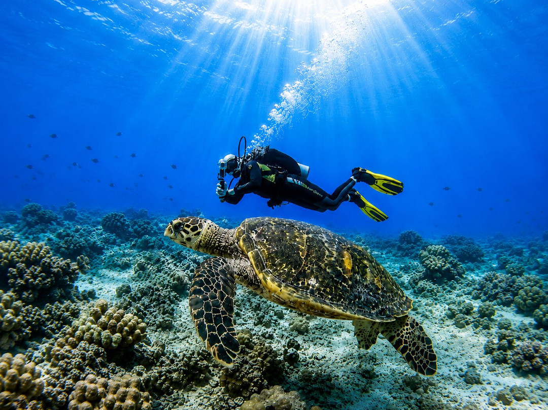 Scuba Froggy - Senggigi-Senggigi必去景点