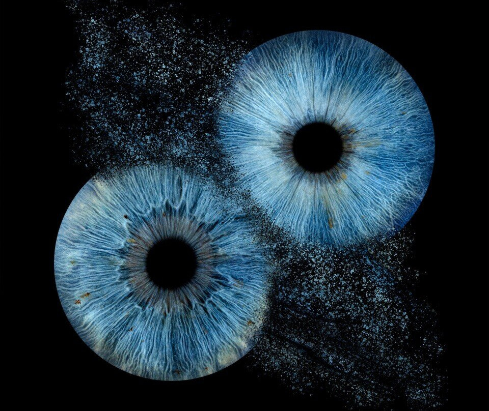 Iris Galerie Gent