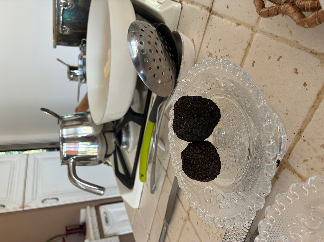 Truffle in Tuscany-圣米尼亚托必去景点