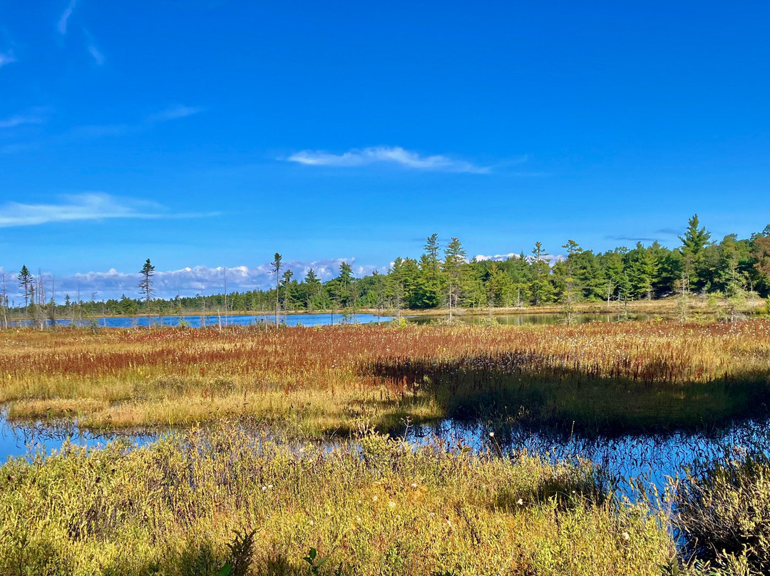 Torrance Barrens Dark-Sky Preserve-Torrance必去景点