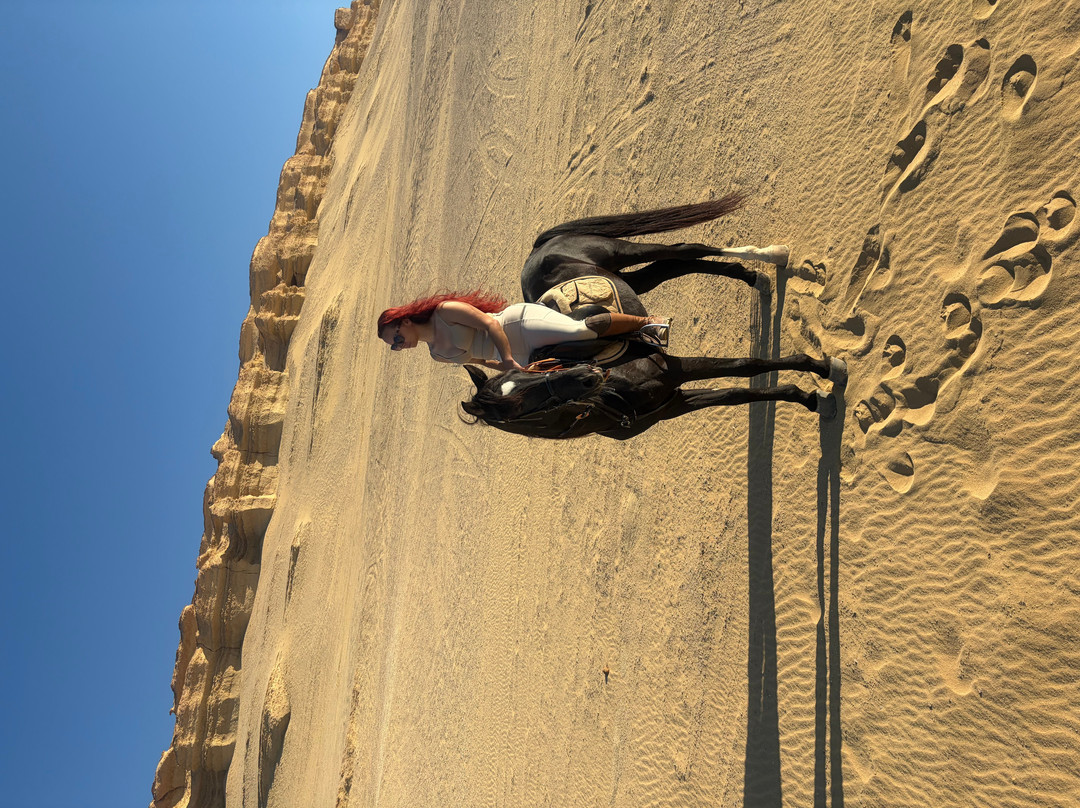 Horse Trips Egypt-Tunis必去景点