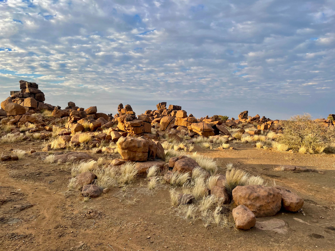 Quivertree Forest and Giant's Playground-Keetmanshoop必去景点