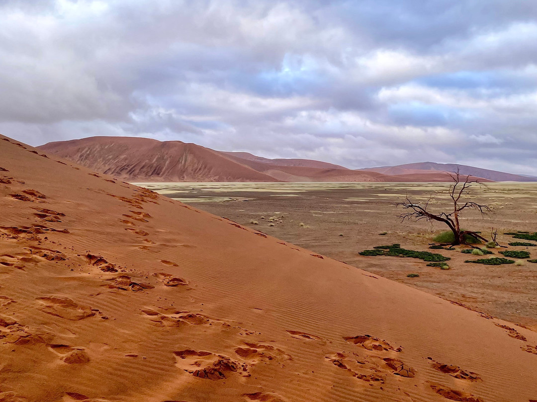 Sossusvlei-Namib-Naukluft Park必去景点