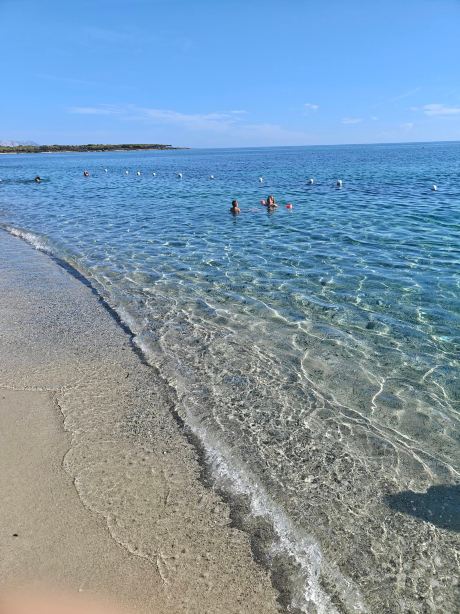 Hotel Cala Fiorita-旅行者