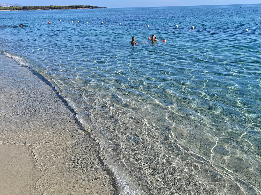 Hotel Cala Fiorita主图