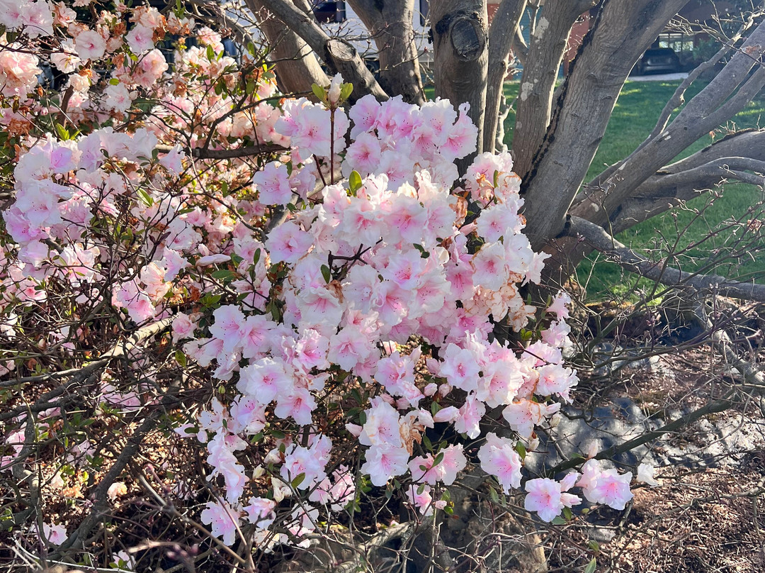 Cherryhill Orchards-Wandin East必去景点