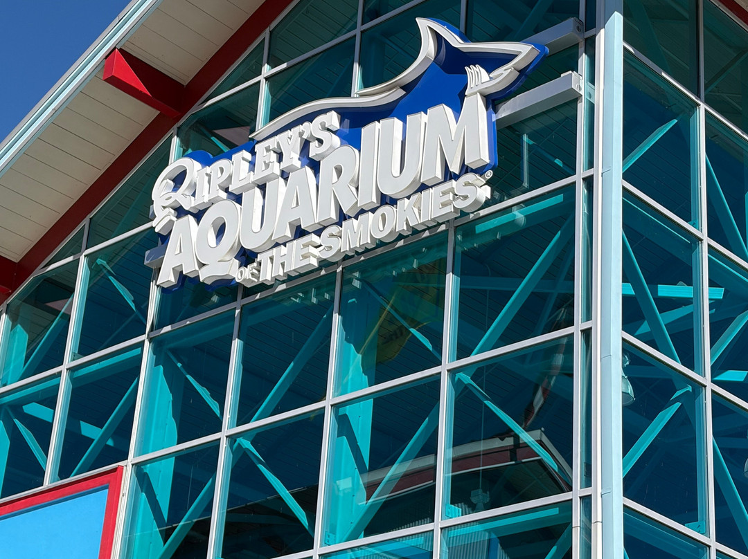 莱利大烟山水族馆-盖林柏格必去景点