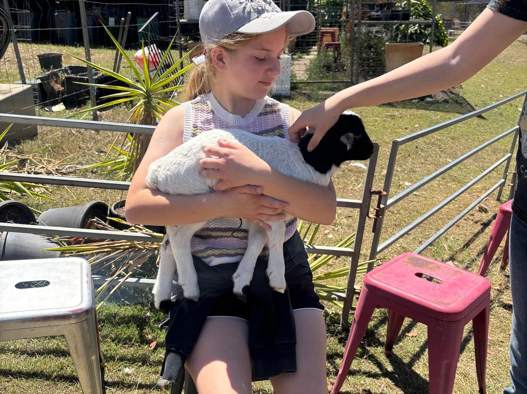 EWE Nique Hobby Farm Haigslea-Haigslea必去景点