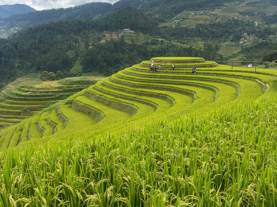 Hmong Immersive Tour-Mu Cang Chai必去景点