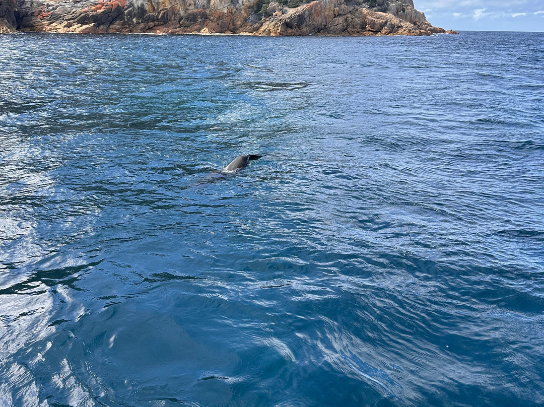 Freycinet Charters-科尔斯湾必去景点