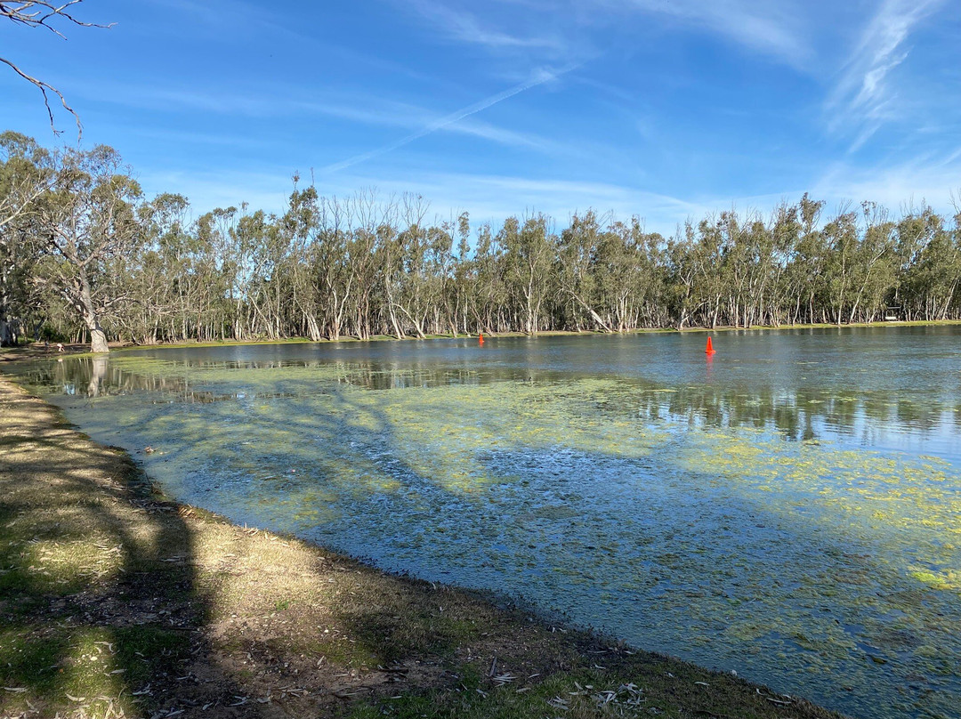 Nhill Lake-Nhill必去景点