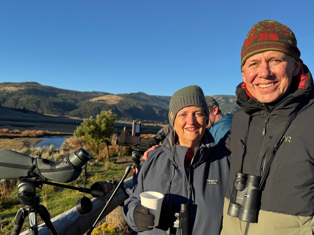 Yellowstone Wolf Tracker-加德纳必去景点