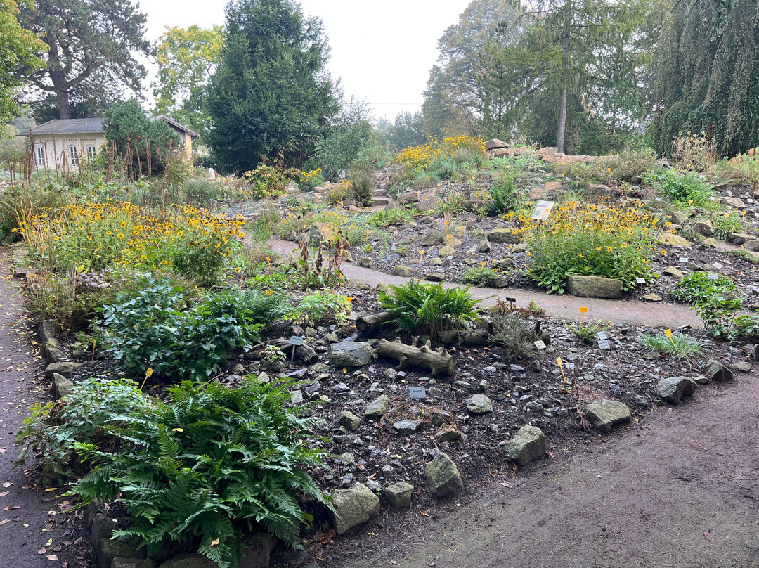 Botanischer Garten-奥尔登堡必去景点