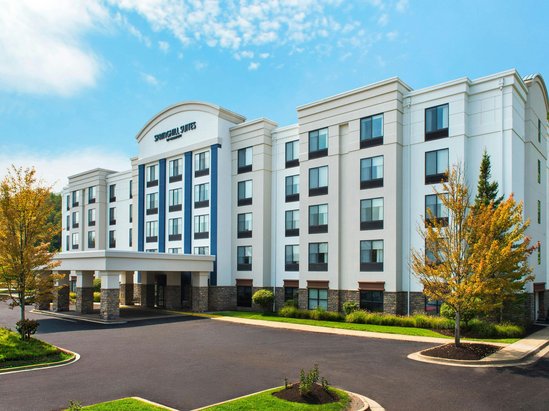 Natrona Heights酒店住宿-SpringHill Suites by Marriott Pittsburgh Mills