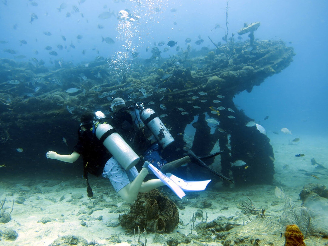 Seahorse Divers Barbados-奥伊斯廷斯必去景点