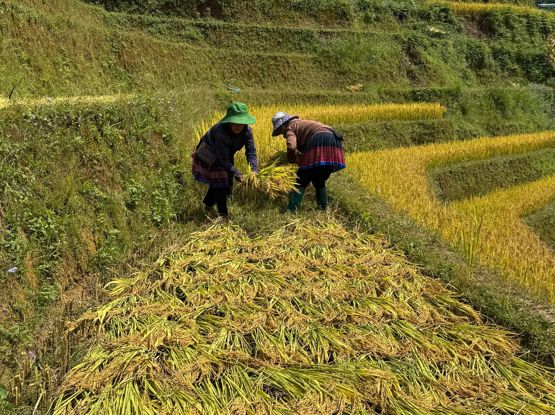 Origin Travel Vietnam-河内必去景点