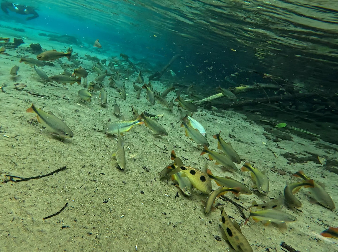 Recanto Ecologico Rio da Prata-博尼图必去景点