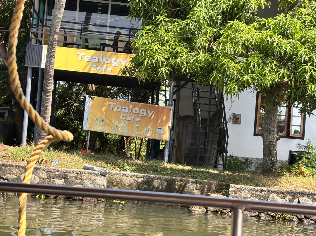 Alleppey Backwaters-阿拉普扎必去景点