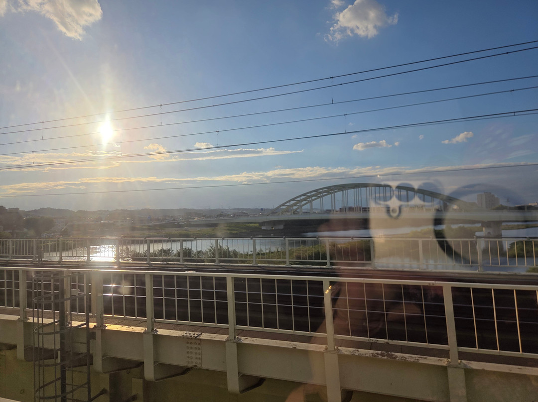 Odakyu Limited Express Romancecar-东京都必去景点