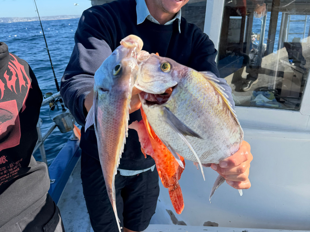 Deep Blue Charters Australia-Rose Bay必去景点