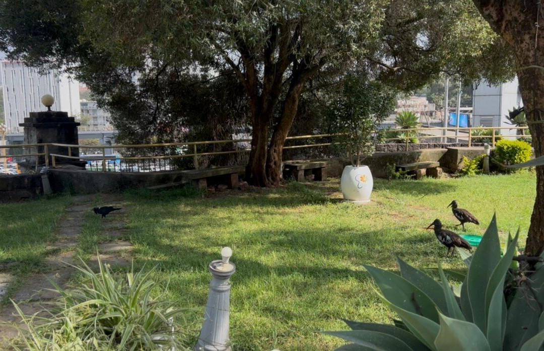 Addis Ababa Museum-亚的斯亚贝巴必去景点
