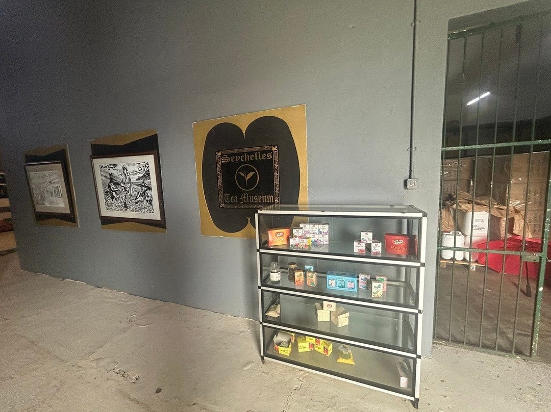 Tea Factory-马埃岛必去景点