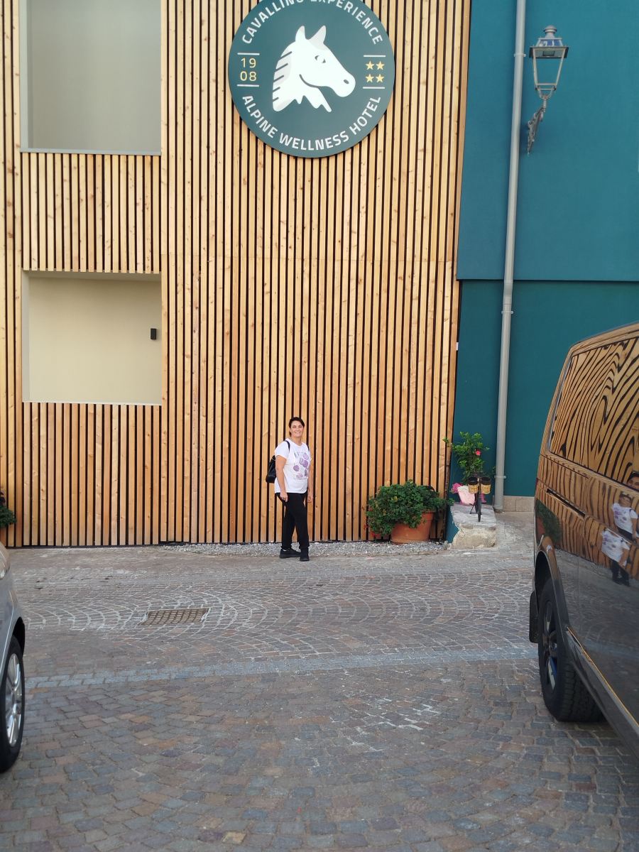 艾尔伯格卡瓦利诺比安科酒店-旅行者