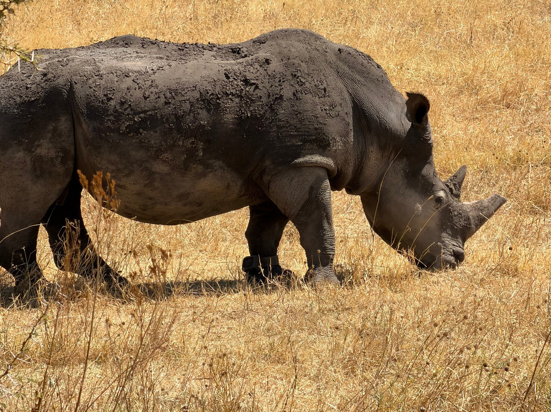 Sereland Africa Safaris-Sakina必去景点