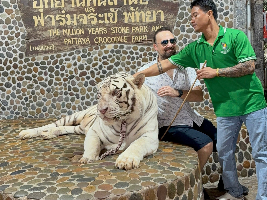Tiger Park Pattaya-芭堤雅必去景点