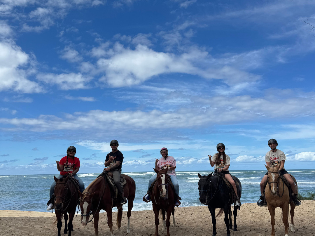 Hawaii Polo Club-瓦亚禄必去景点