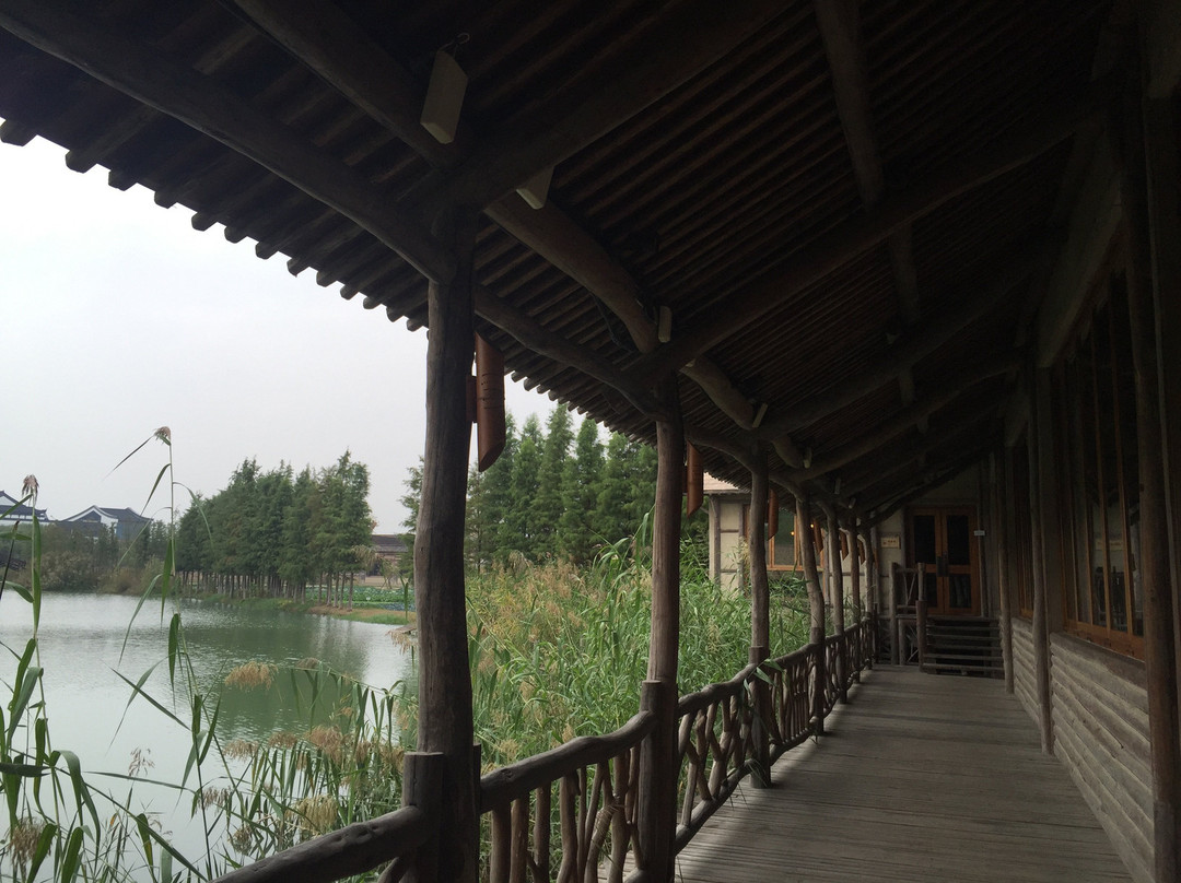 乌镇乌村