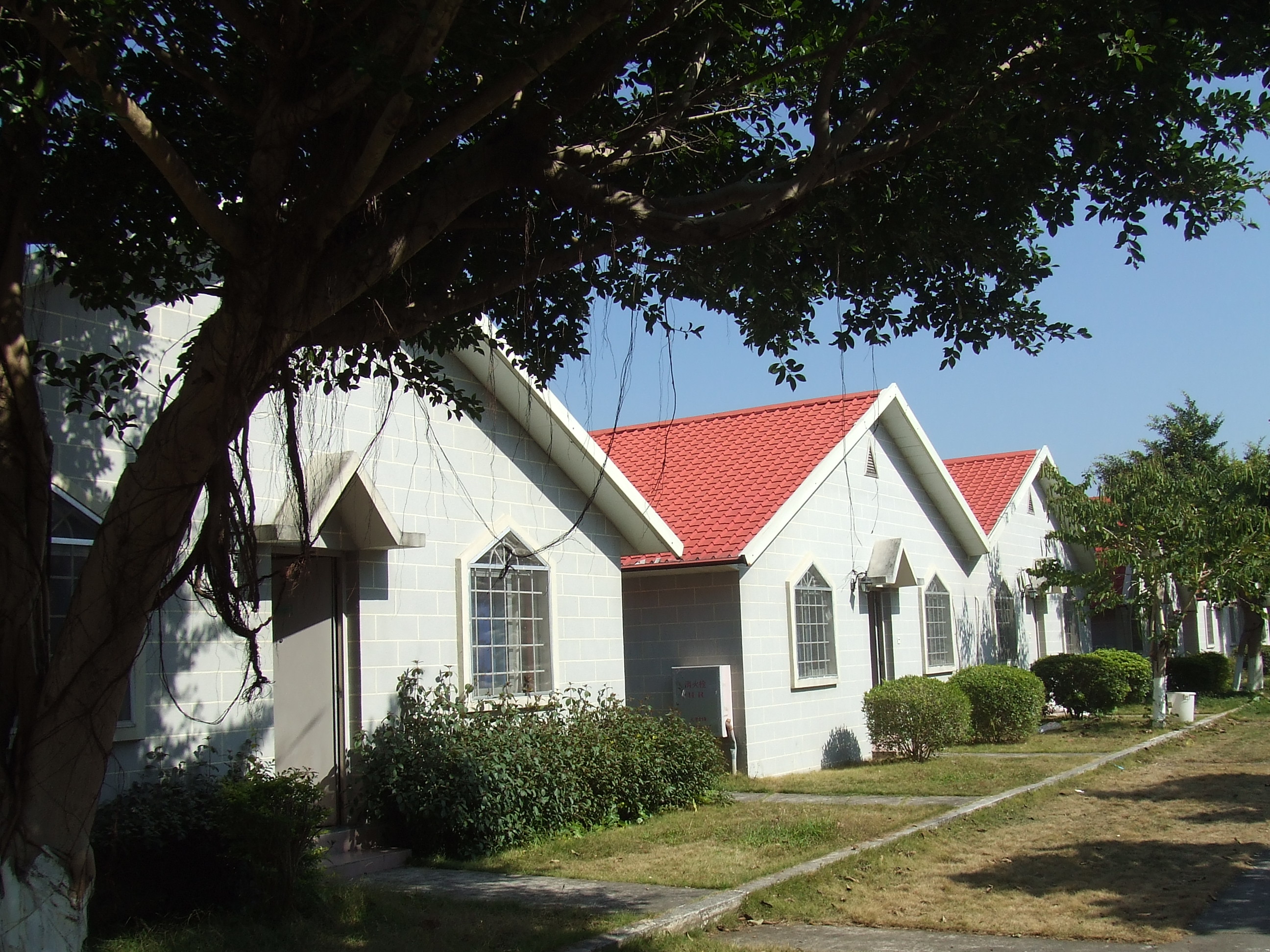 金山温泉度假村-客卧