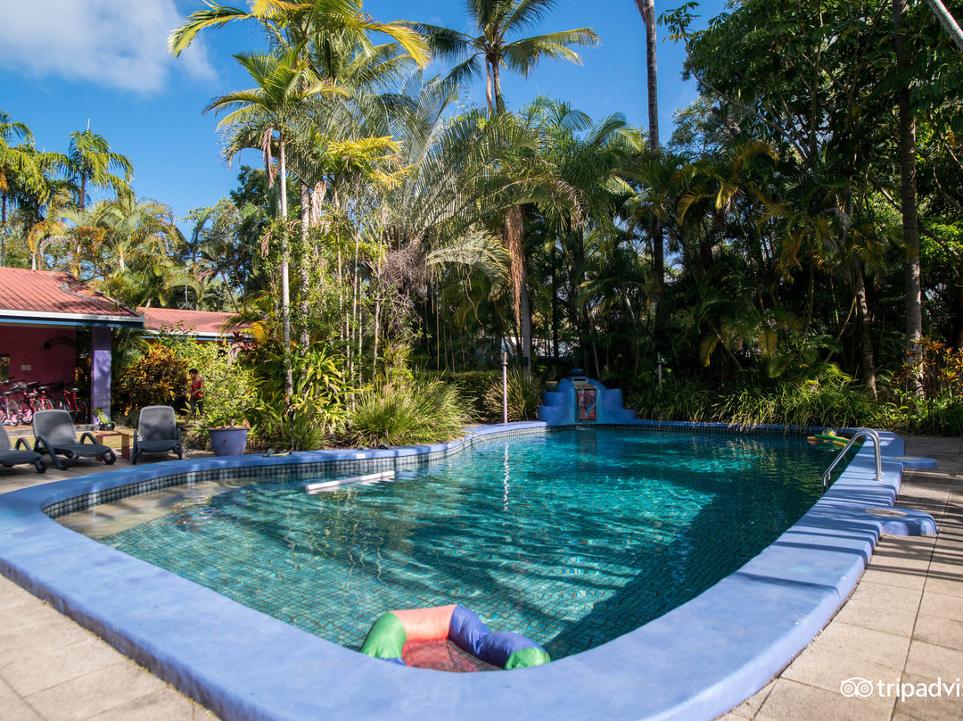 道格拉斯港酒店住宿-粉红火烈鸟度假酒店