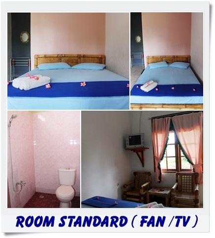 Nick's Homestay-官方