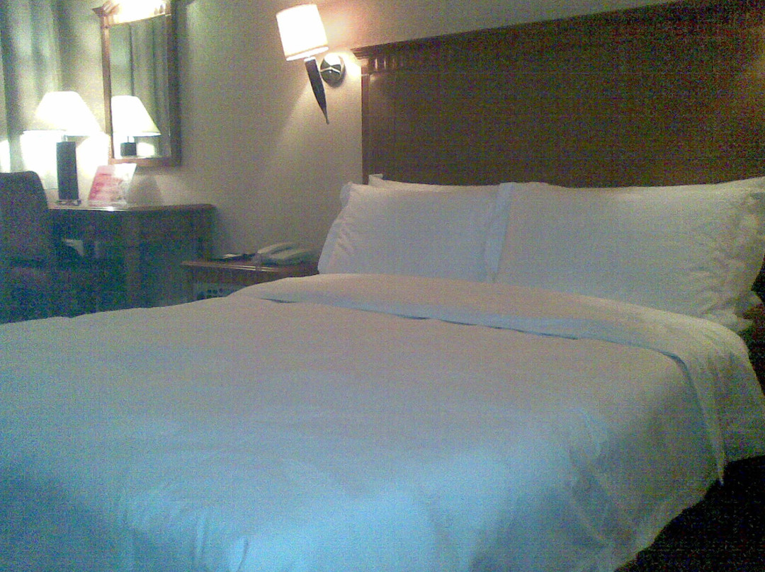 南方明珠国际大酒店主图