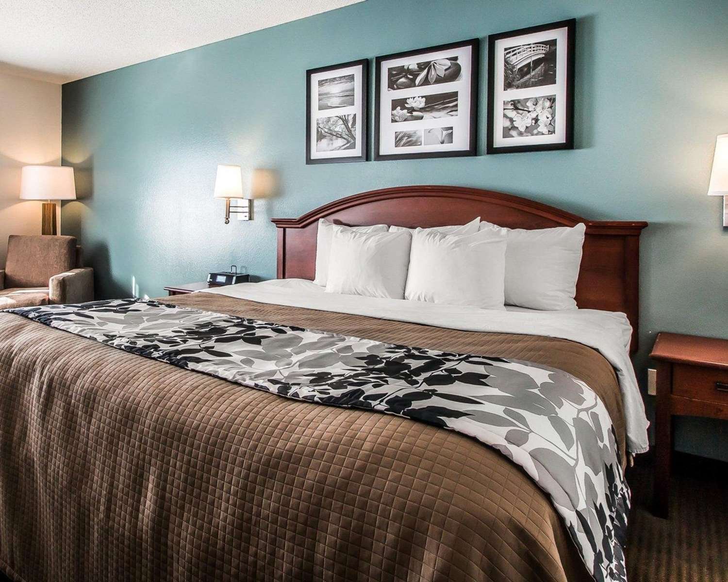 Sleep Inn & Suites Mount Vernon-官方