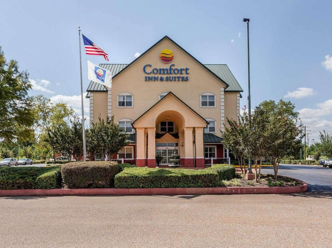 Comfort Inn & Suites主图