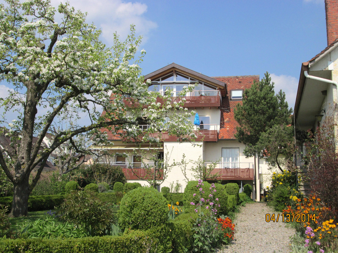 Panorama Hotel Sonnenstube主图