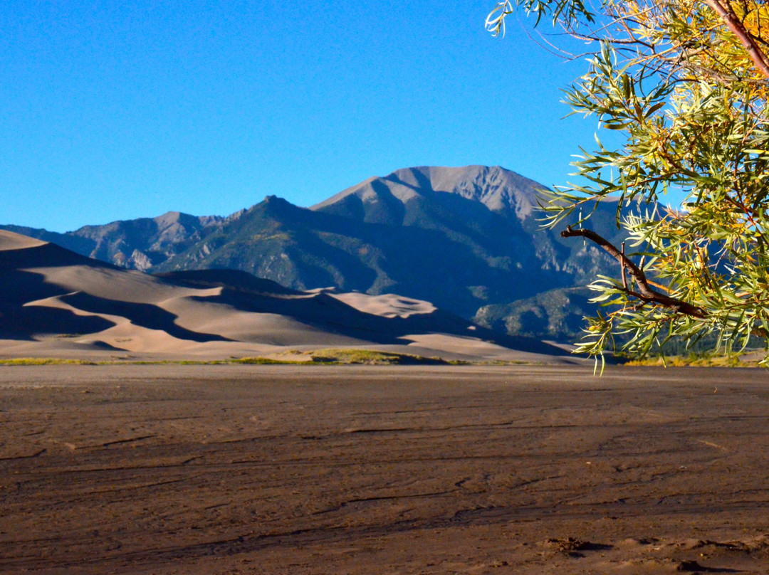 Gardner旅游景点-Little Medano Creek