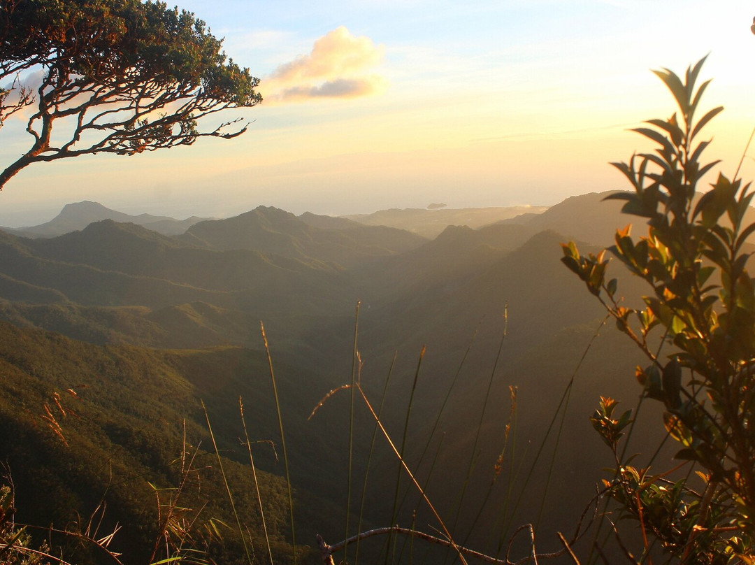 Mount Hamiguitan Range Wildlife Sanctuary景点图片