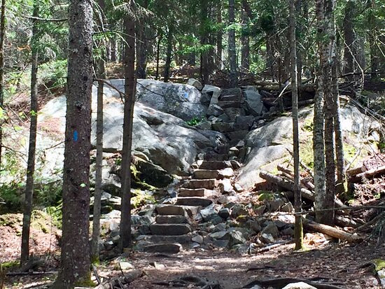 Acadia Mountain Trail景点图片