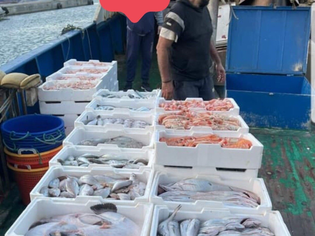 Fish House Shengjin
