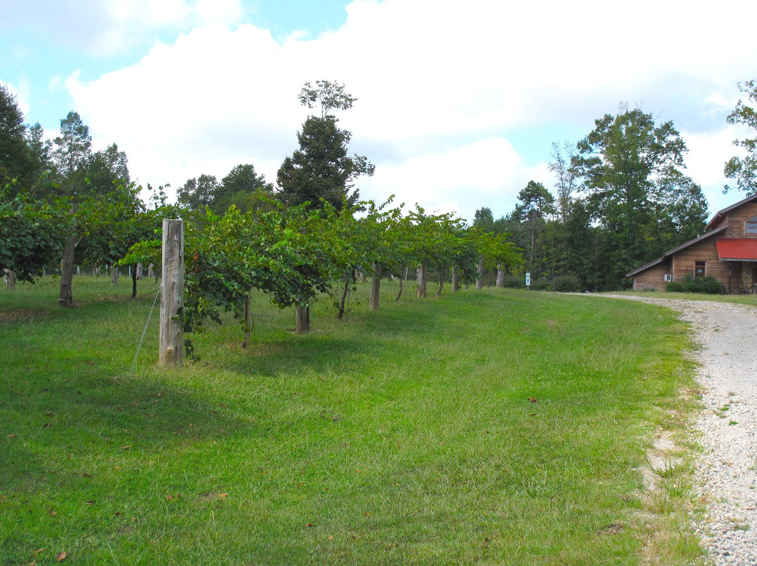 Wolfe Wines-Snow Camp必去景点