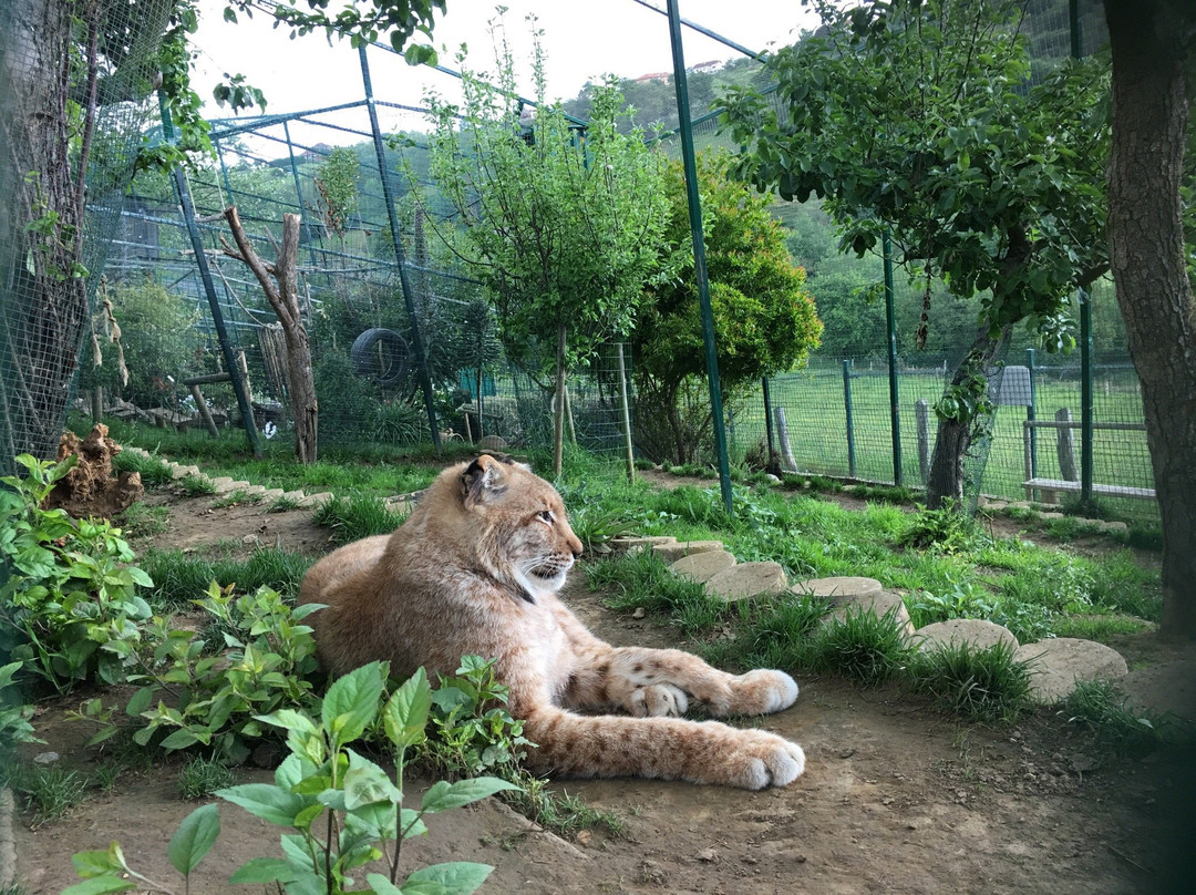 Zoologico El Bosque