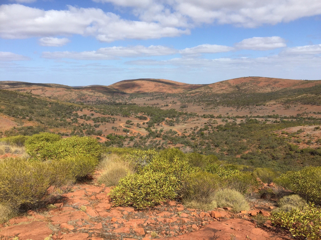 Minnipa旅游景点-Gawler Ranges National Park