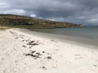 Springbank Bed & Breakfast主图